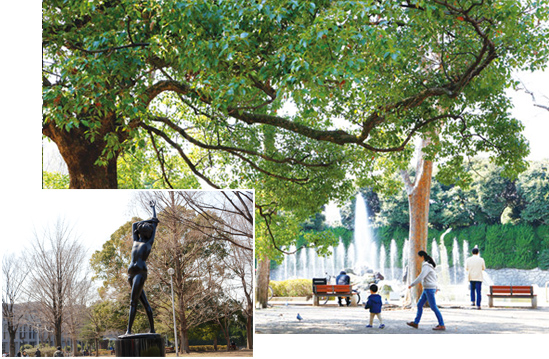 豊かな緑や文化施設も身近に。