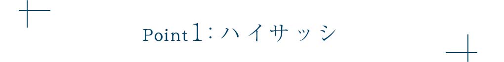 Point１:ハイサッシ