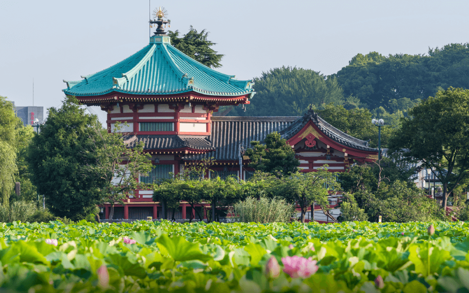 上野恩賜公園（ 約810ｍ ・徒歩11分）