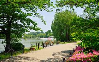 上野恩賜公園 ( 約810m ・徒歩11分)