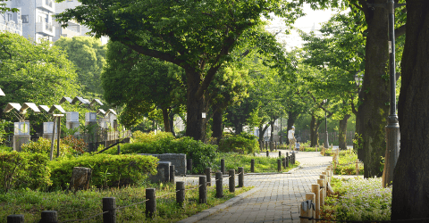 隅田公園(約1600m・徒歩20分)