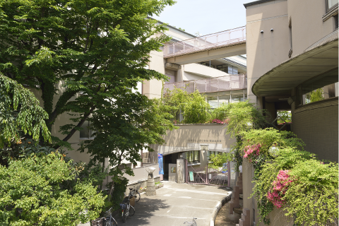 上野小学校・清島幼稚園 約310m(徒歩4分)