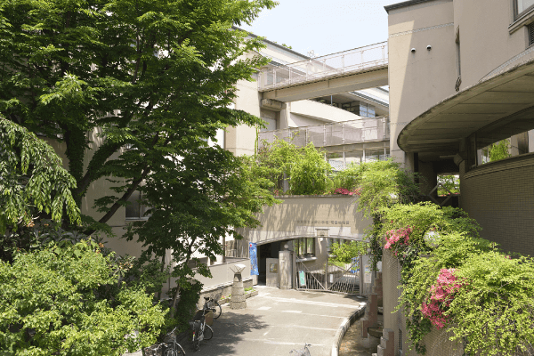 上野小学校・清島幼稚園 約310ｍ（徒歩4分）