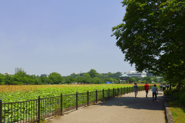 上野恩賜公園 （ 約810ｍ ・徒歩11分）