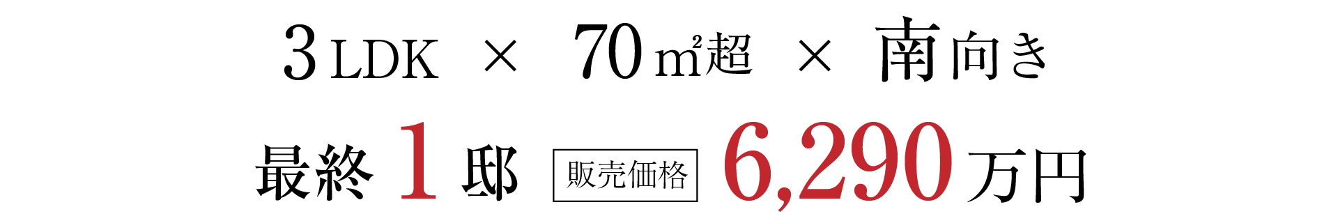 3LDK × 70㎡超 × 南向き 販売価格6,290万円～（100万円単位）