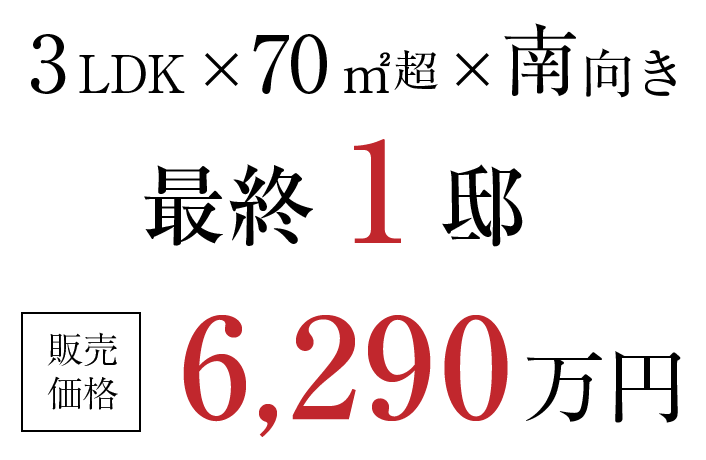 3LDK × 70㎡超 × 南向き 販売価格6,290万円～（100万円単位）