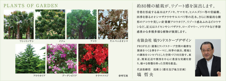 PLANTS OF GARDEN