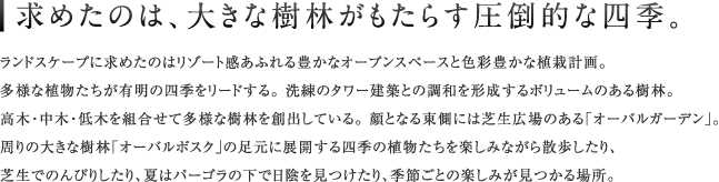 ���߂��̂́A�傫�Ȏ��т������炷���|�I�Ȏl�G�B