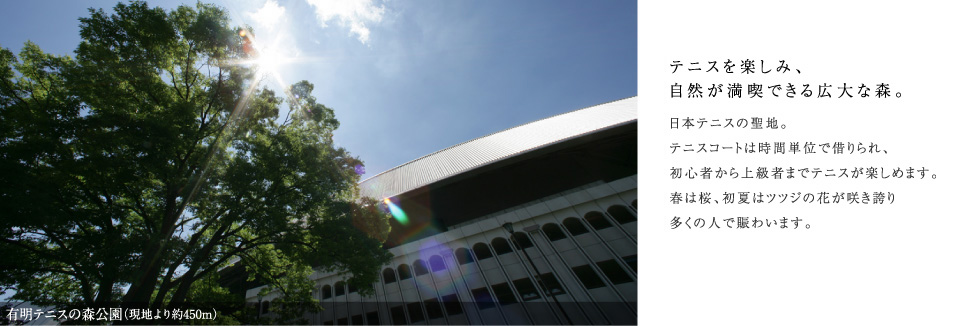 �L���e�j�X�̐X����