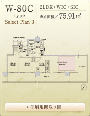 W-80C �Z���N�g�v����3