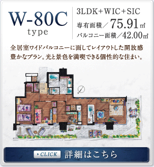 W-80C �ڍׂ͂�����