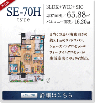 SE-70H �ڍׂ͂�����