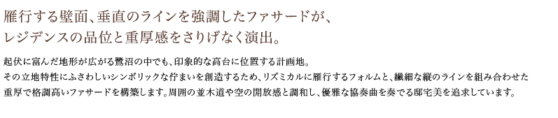 ��s����ǖʁA�����̃��C�������������t�@�T�[�h���A���W�f���X�̕i�ʂƏd���������肰�Ȃ����o�B
