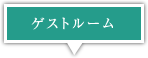 �Q�X�g���[��