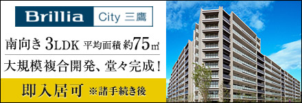 Brillia City �O��