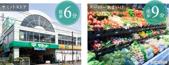 23��No.1�̖L���ȗ΂ƌ������B