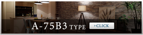 A-75B3TYPE