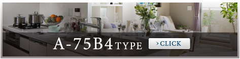 A-75B4TYPE