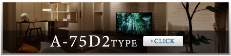 A-75D2TYPE