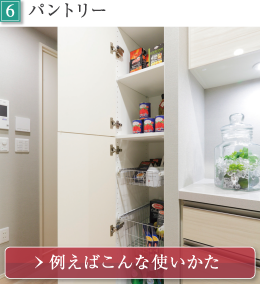 (6)�p���g���[