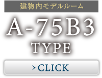 A-75B3 TYPE