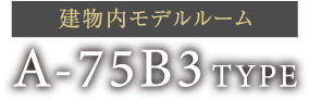 A-75B3 TYPE