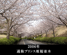 2006年通称プリンス坂桜並木