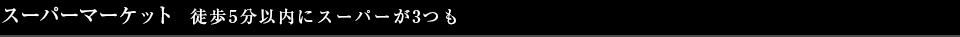 スーパーマーケット　徒歩5分以内にスーパーが3つも