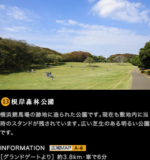 根岸森林公園